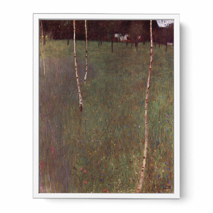 Farmhouse With Birches