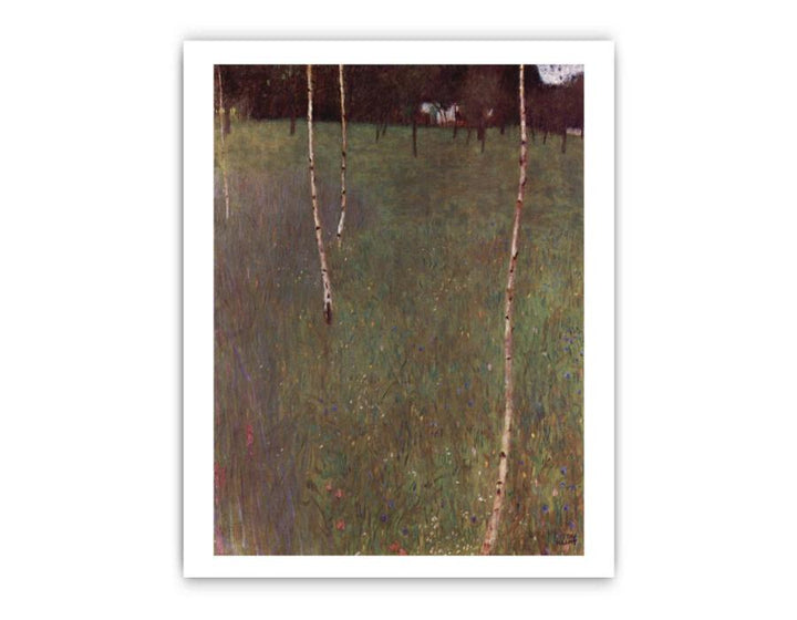 Farmhouse With Birches