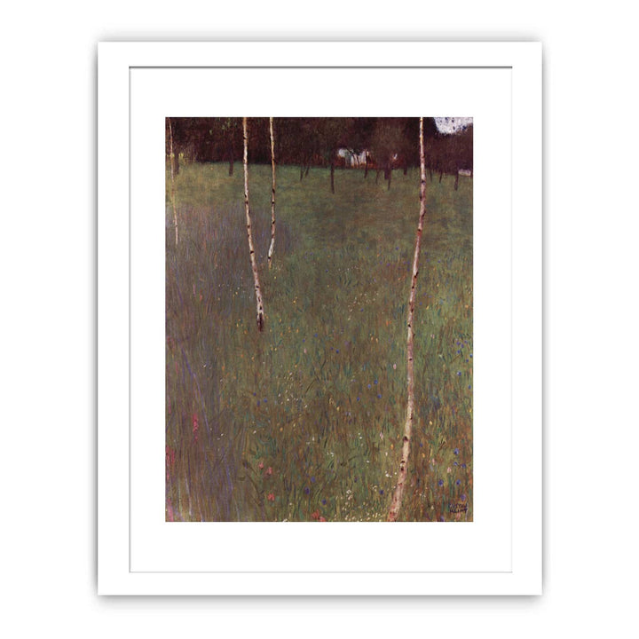 Farmhouse With Birches
