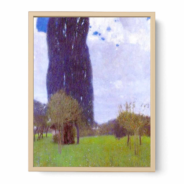 The Tall Poplar tree II