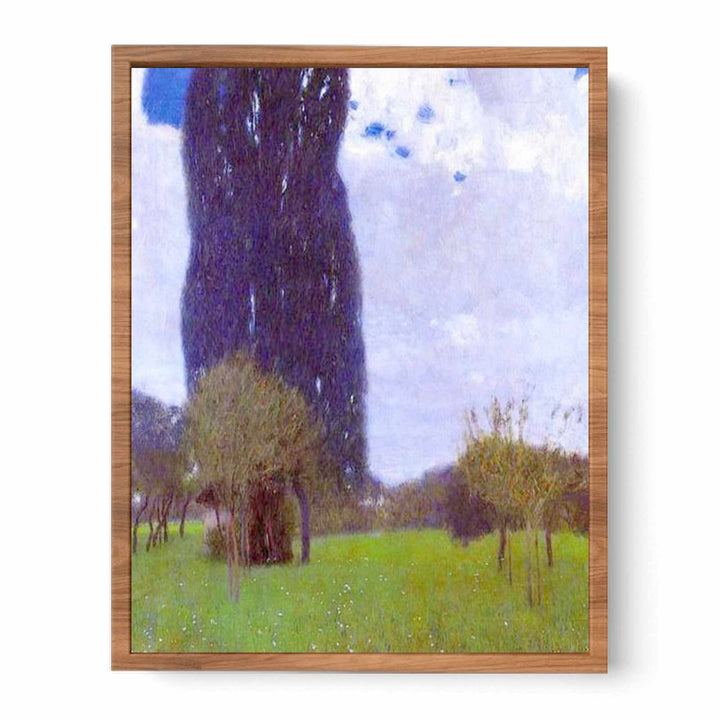 The Tall Poplar tree II