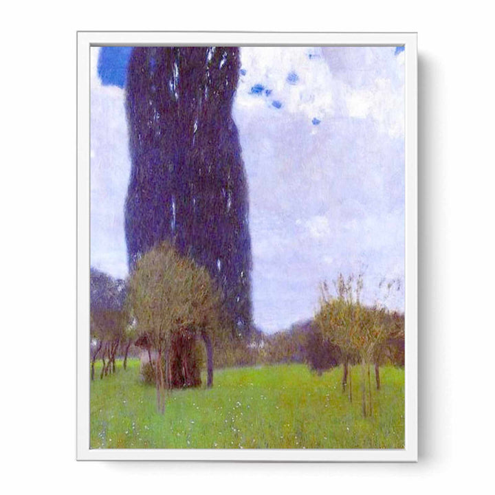 The Tall Poplar tree II