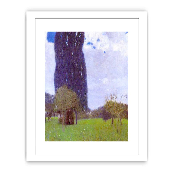 The Tall Poplar tree II
