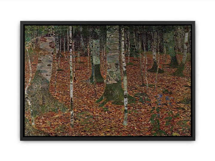 Birch Forest