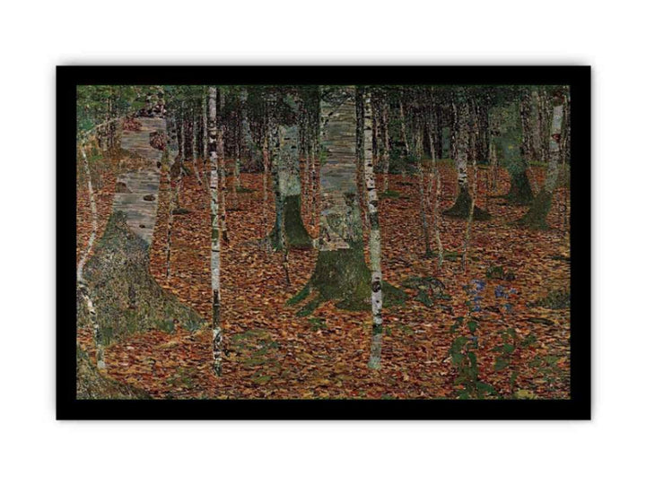 Birch Forest