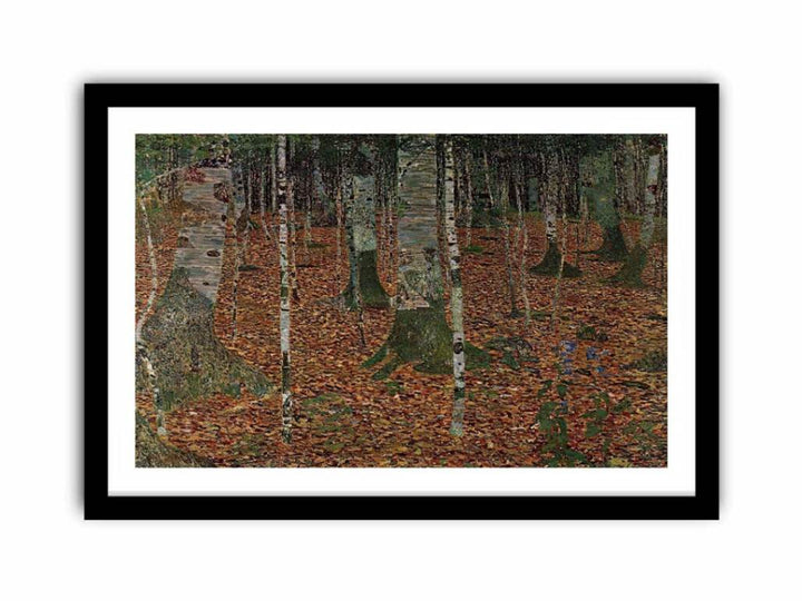 Birch Forest