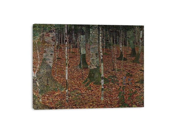 Birch Forest