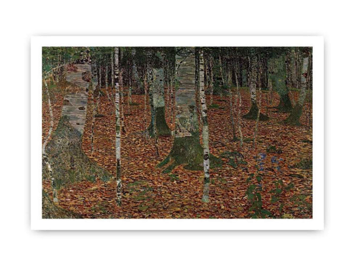 Birch Forest