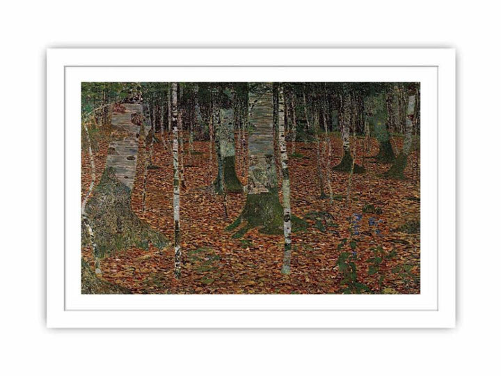 Birch Forest