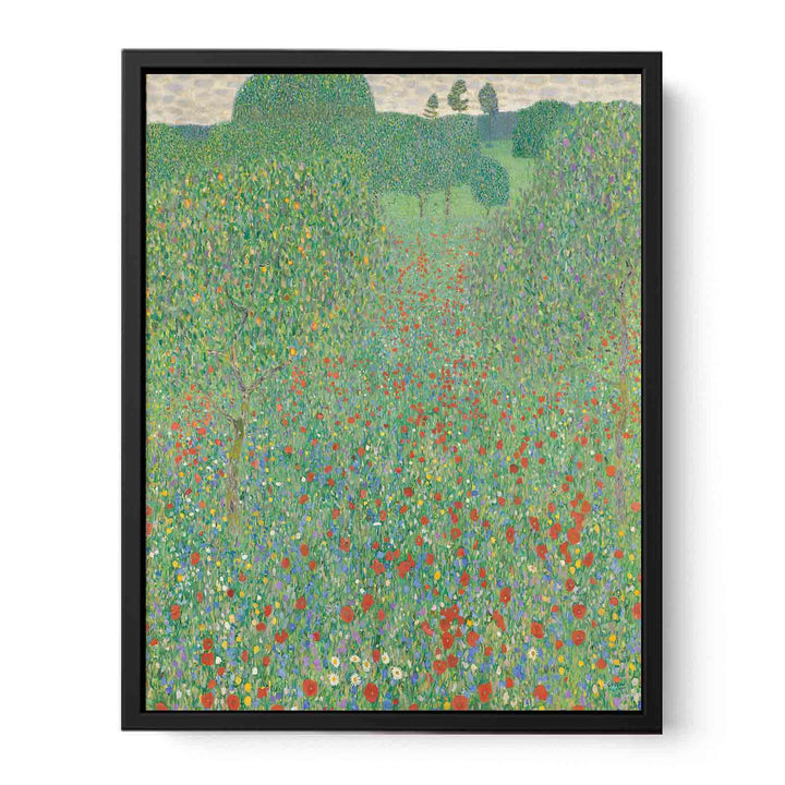 A Field of Poppies