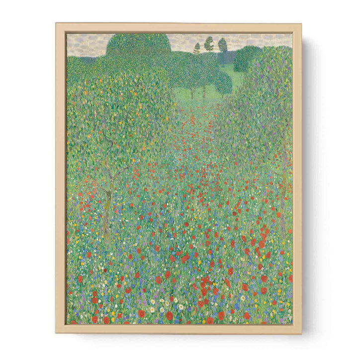 A Field of Poppies