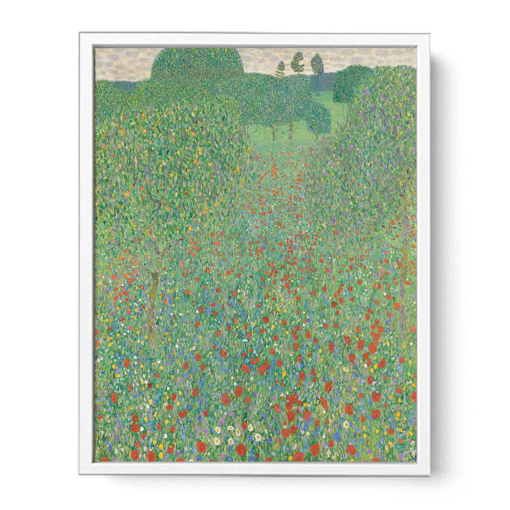 A Field of Poppies
