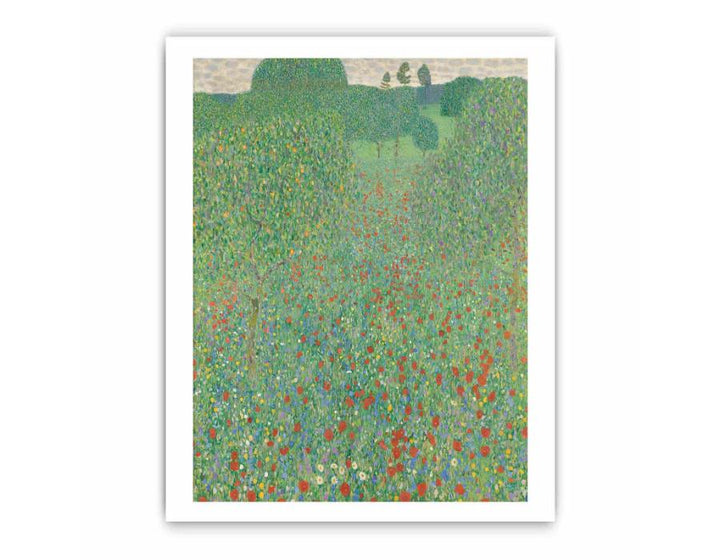 A Field of Poppies