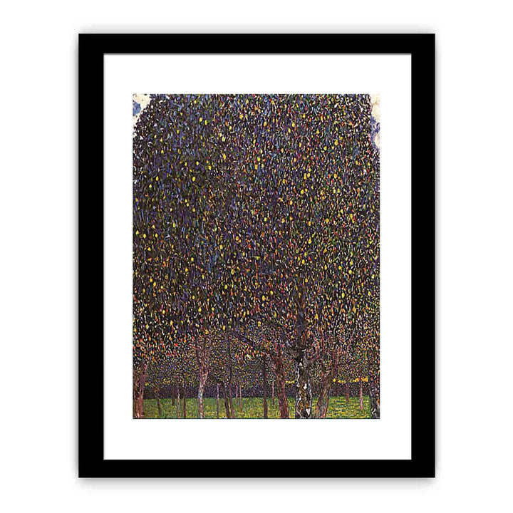 The Pear Tree