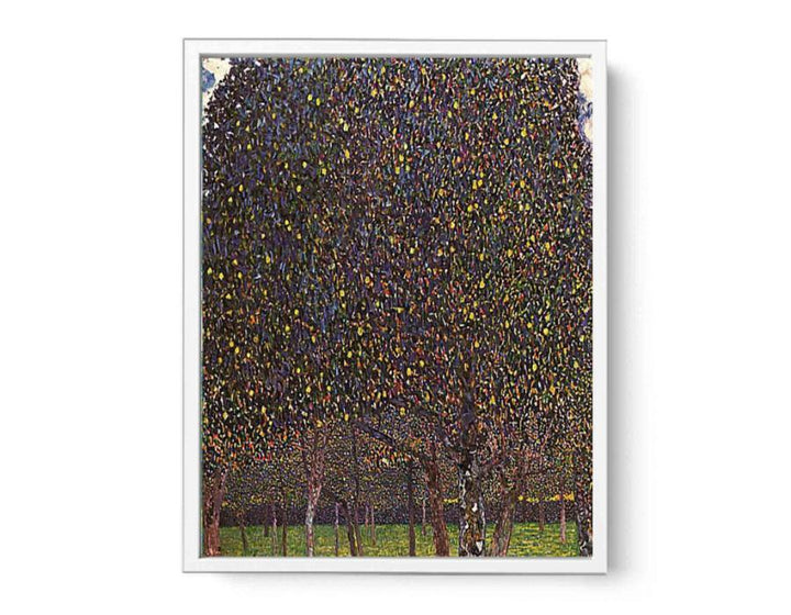 The Pear Tree