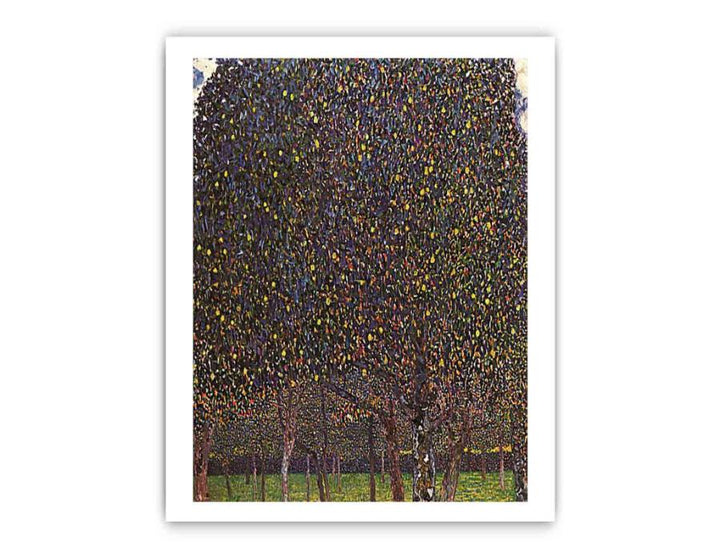 The Pear Tree