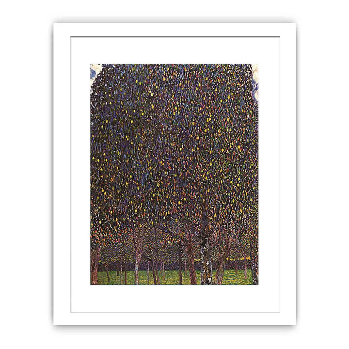 The Pear Tree