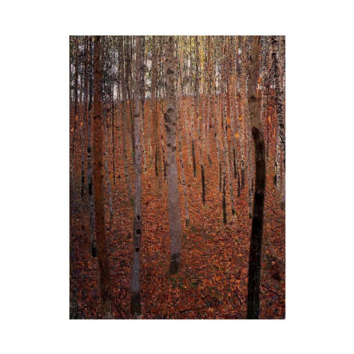 Beech Forest Buchenwald I