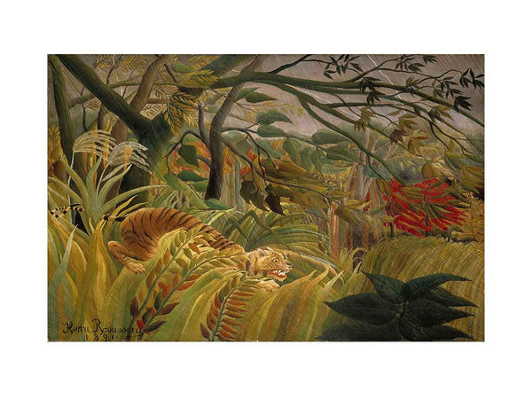 Tiger In A Tropical Storm Surprised