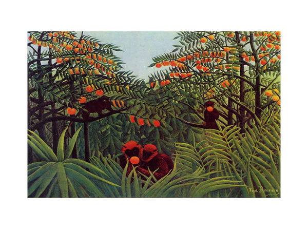 Apes In The Orange Grove