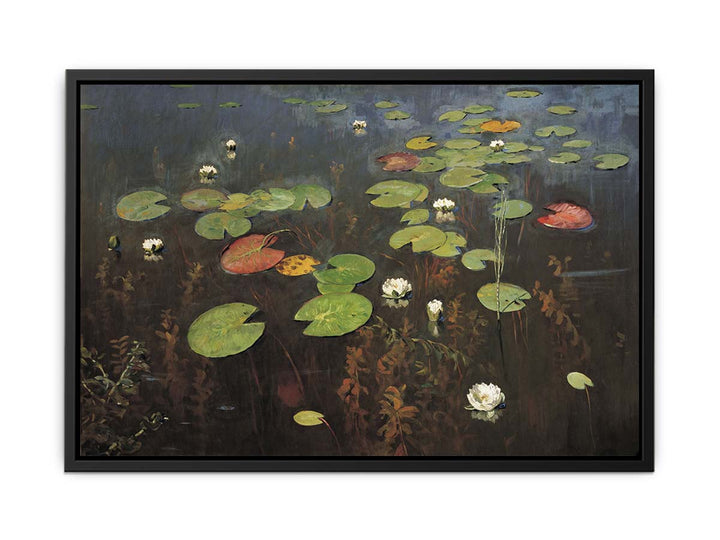 Water lilies