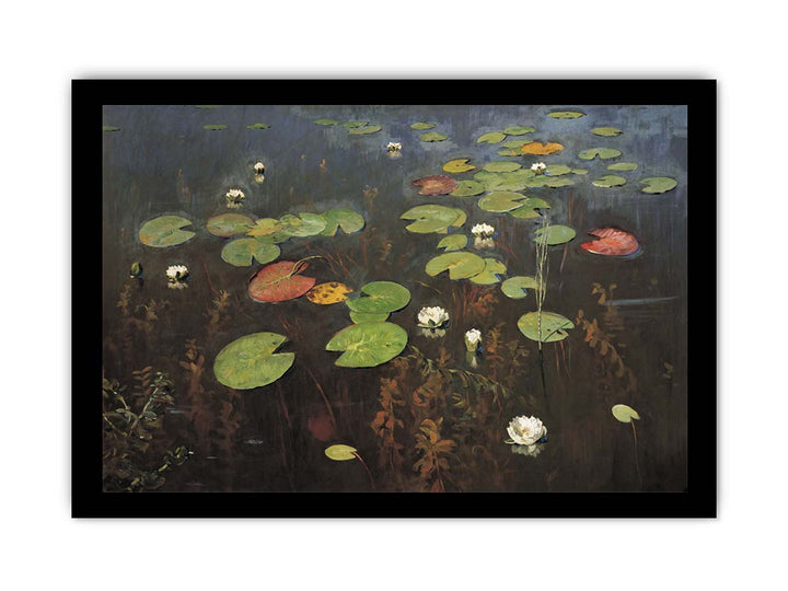 Water lilies