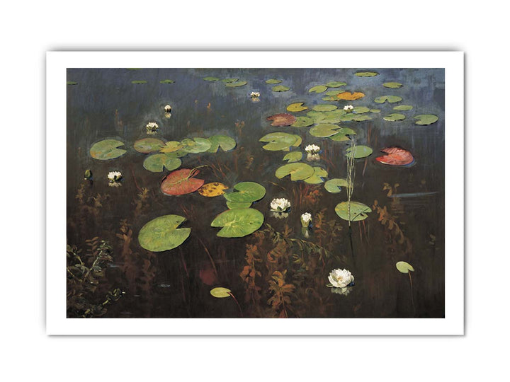 Water lilies
