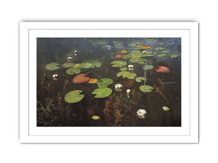 Water lilies