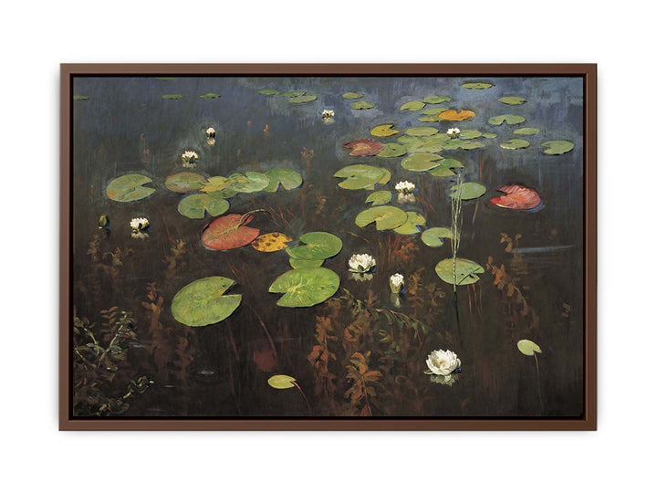 Water lilies