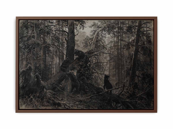 Morning in a pine forest