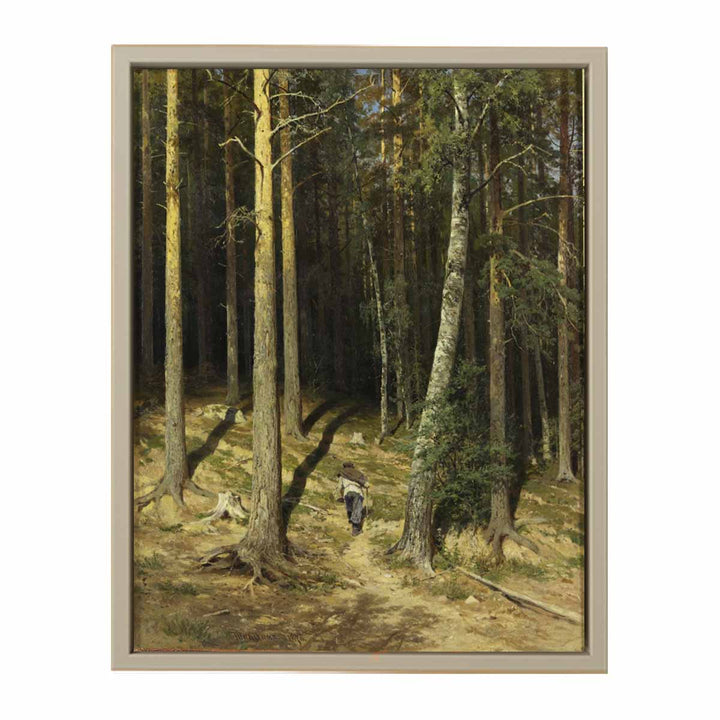 A pine forest