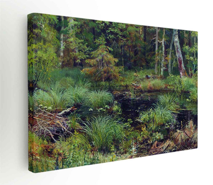 Spring in the forest