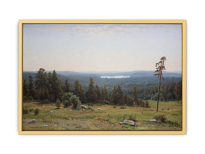 The forest distant views