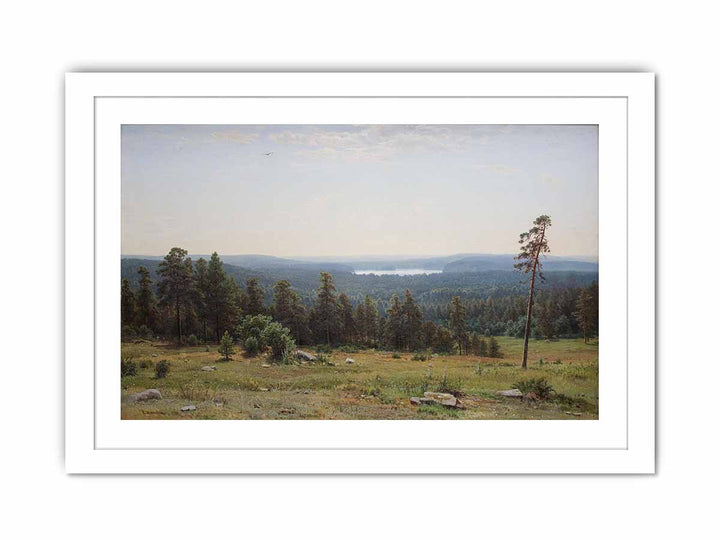 The forest distant views