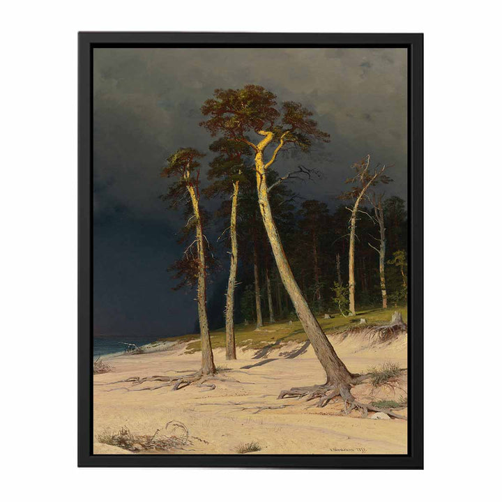 Sandy Coastline
