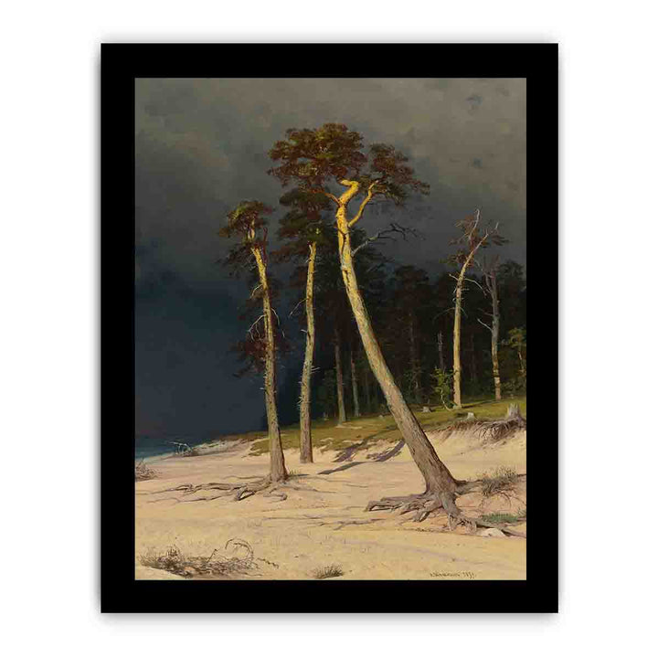 Sandy Coastline