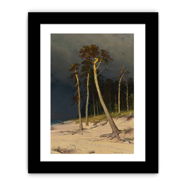 Sandy Coastline