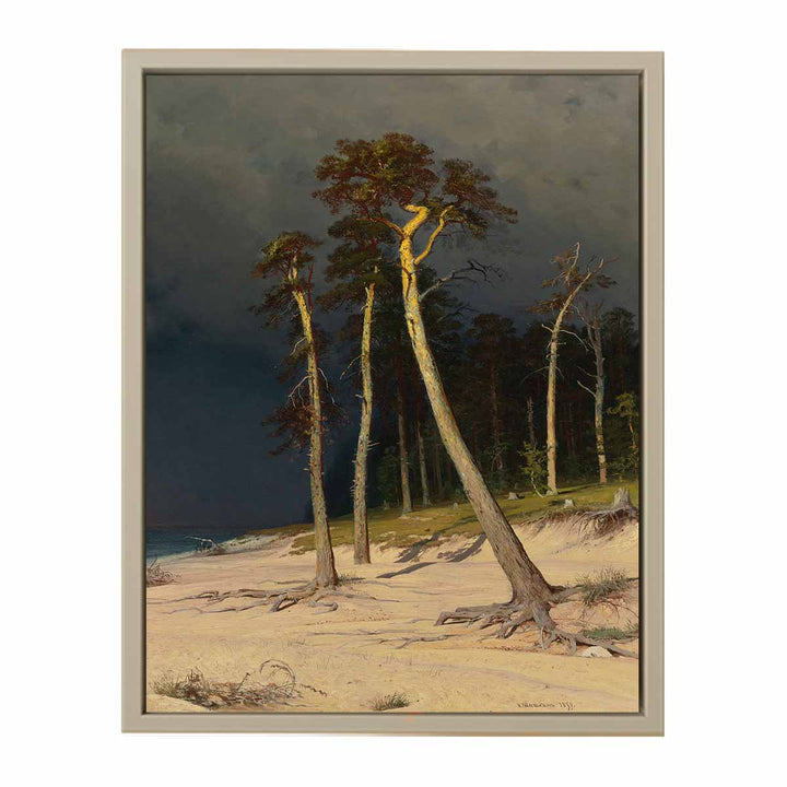 Sandy Coastline
