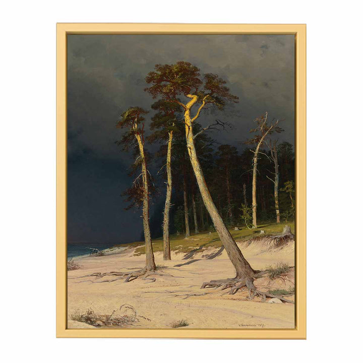 Sandy Coastline