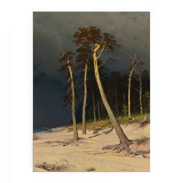Sandy Coastline