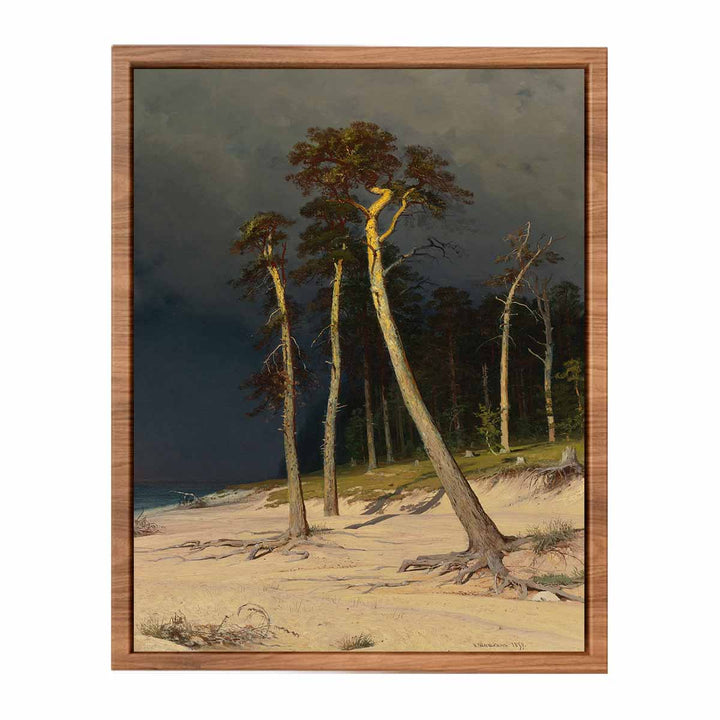 Sandy Coastline