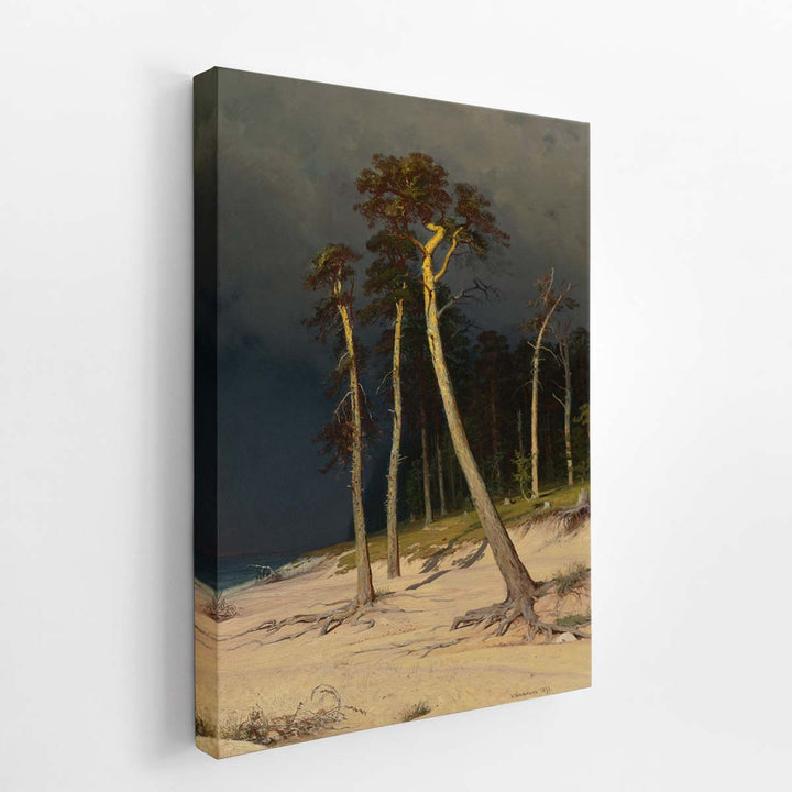 Sandy Coastline