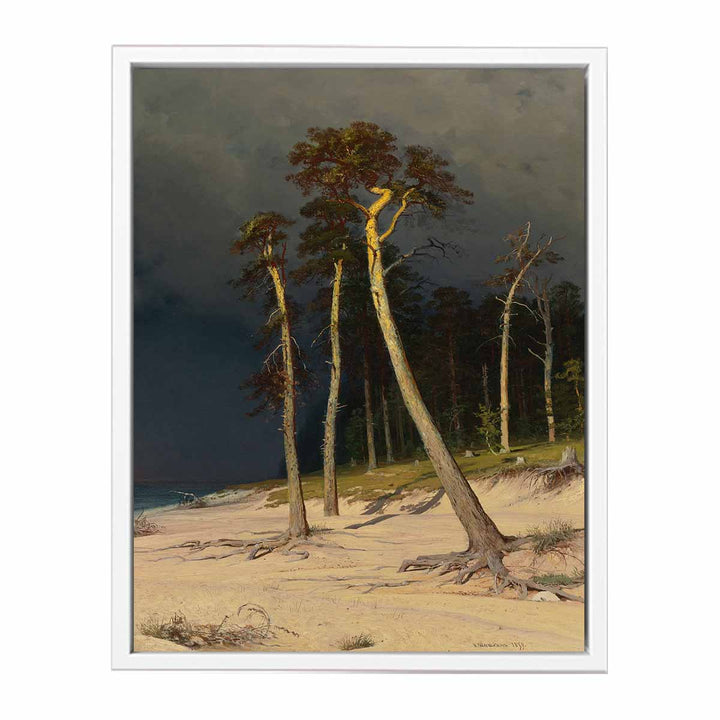 Sandy Coastline