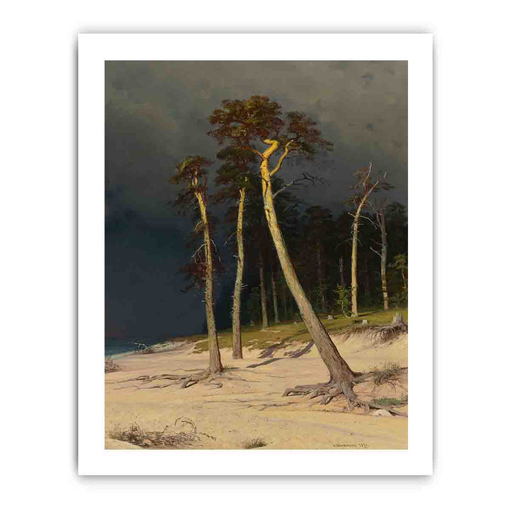 Sandy Coastline