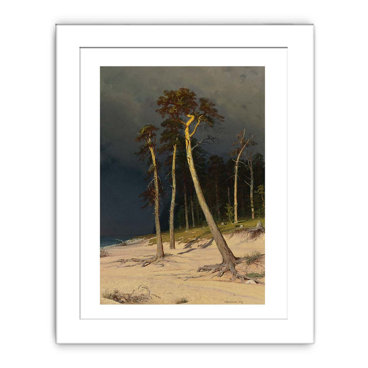 Sandy Coastline