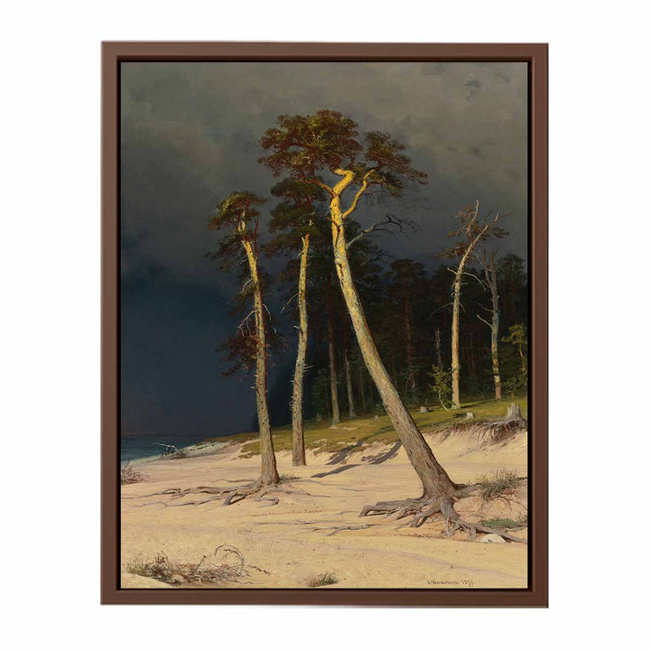 Sandy Coastline