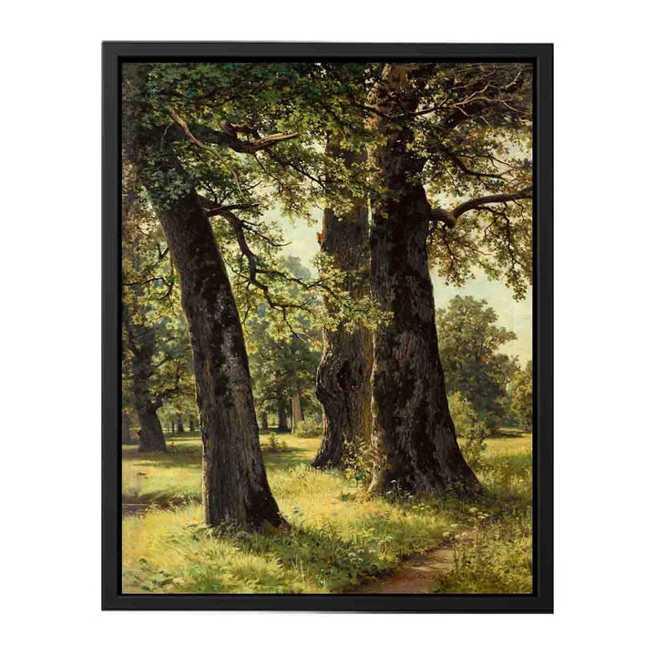 Oaks