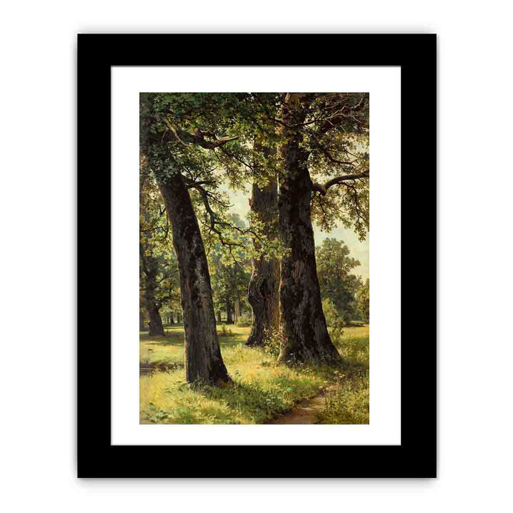 Oaks