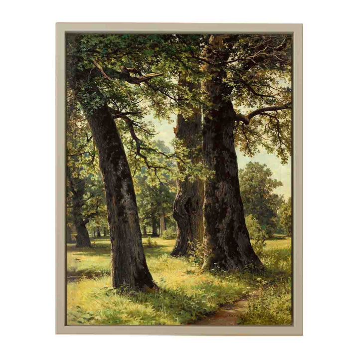 Oaks