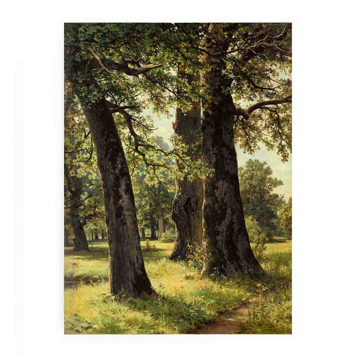 Oaks